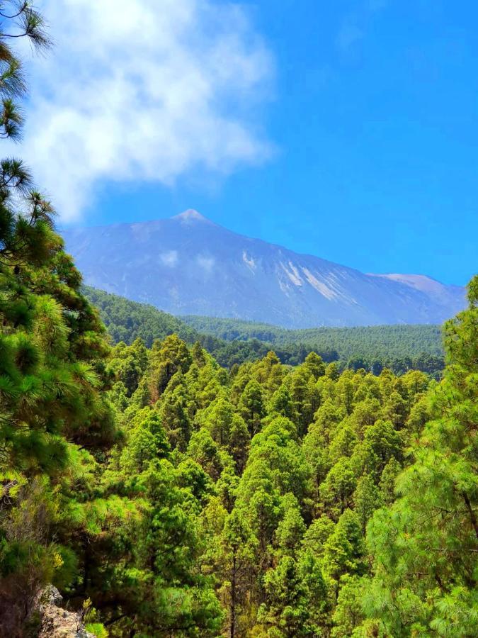 Monte frio de Tenerife La Guancha Exterior foto