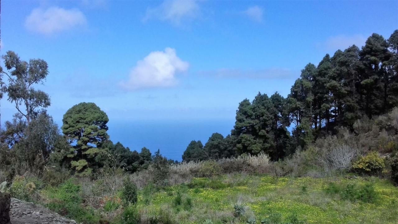 Monte frio de Tenerife La Guancha Exterior foto